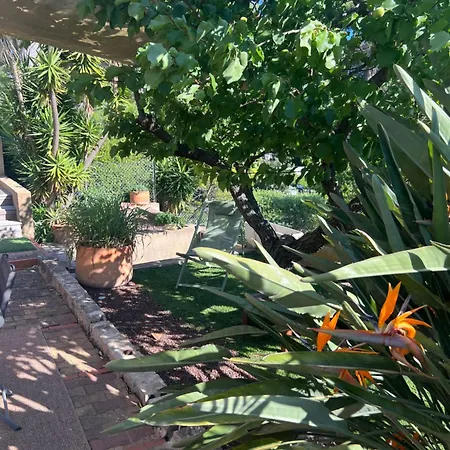 T2 - Rez De Jardin, Proche De La Carqueiranne