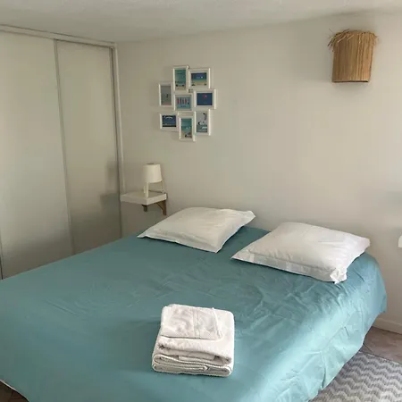 T2 - Rez De Jardin, Proche De La Carqueiranne